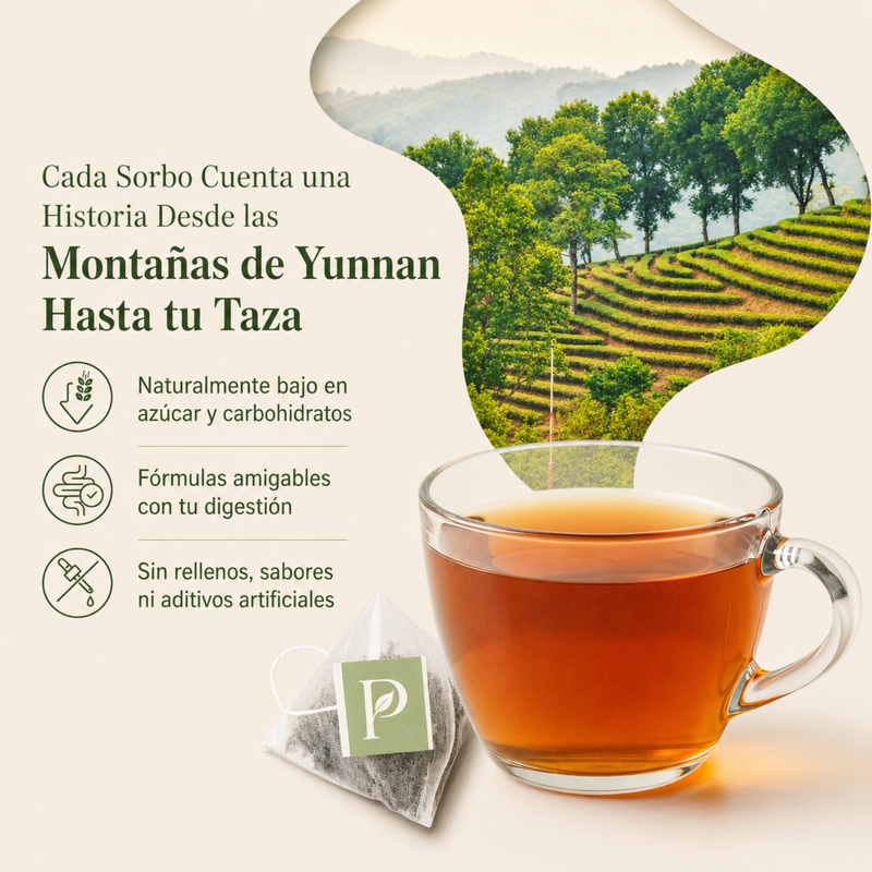 Imagen 7