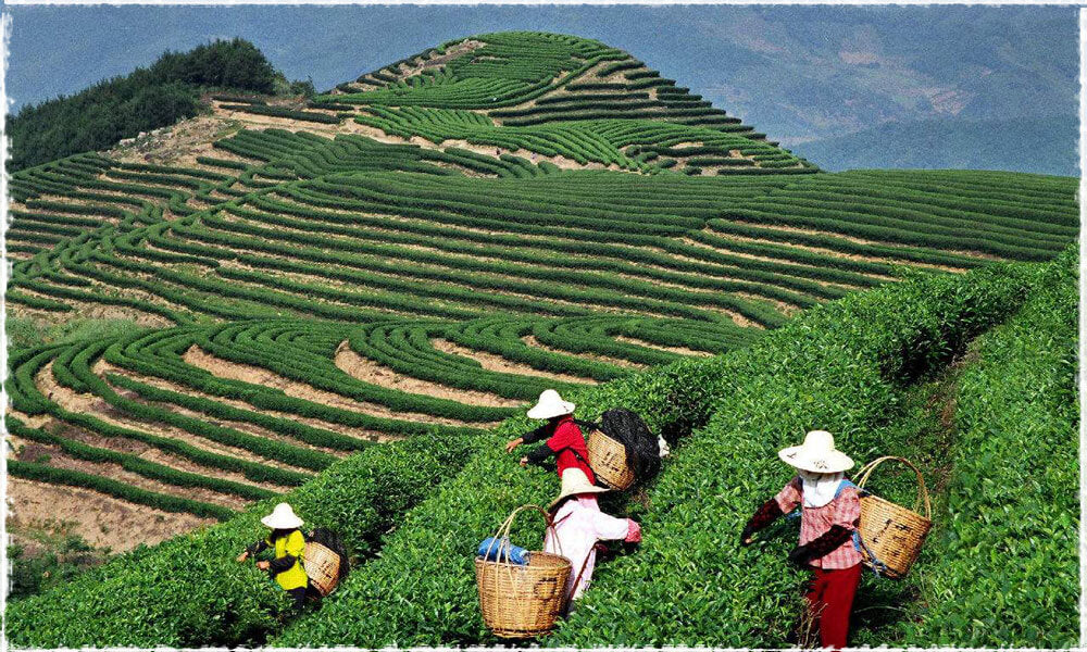 Montañas de Yunnan