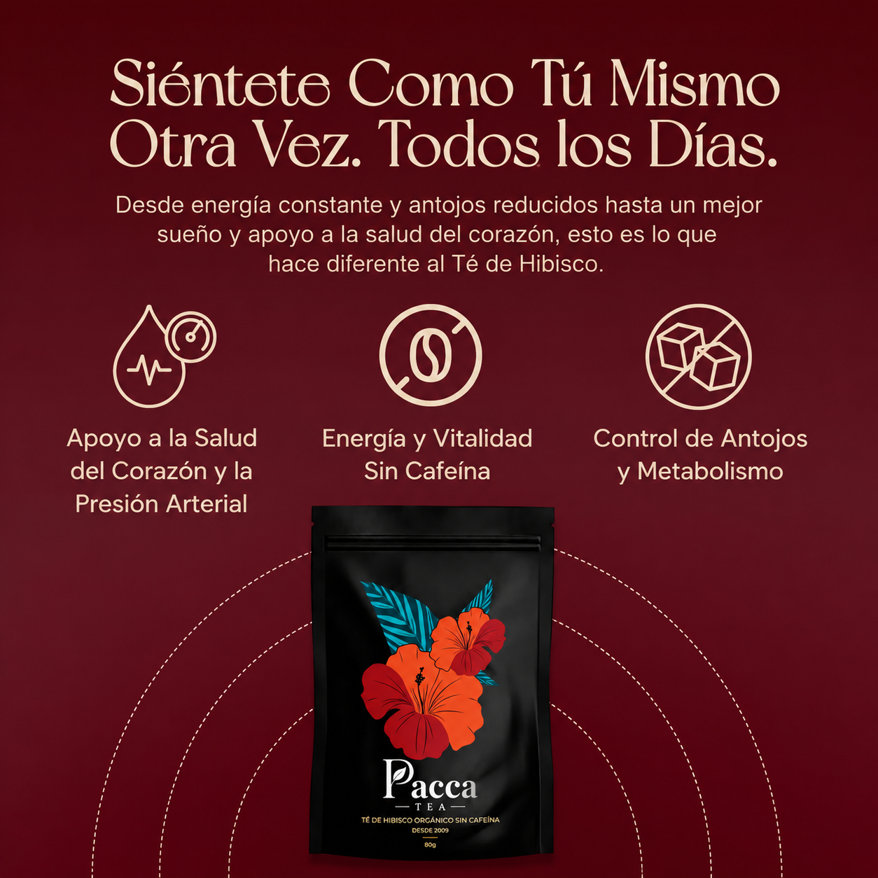Imagen 5